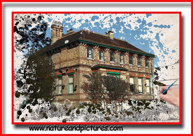 06 03 12_7864_edited-2.jpg - BOURNEMOUTH NATURAL SCIENCE SOCIETY - CHRISTCHURCH ROAD